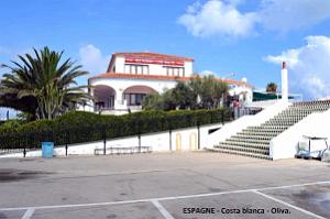202- Oliva